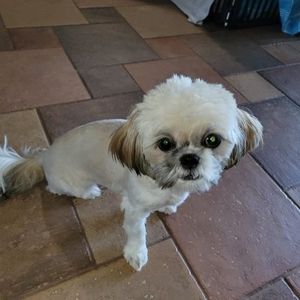 Meet your Posher, Janice